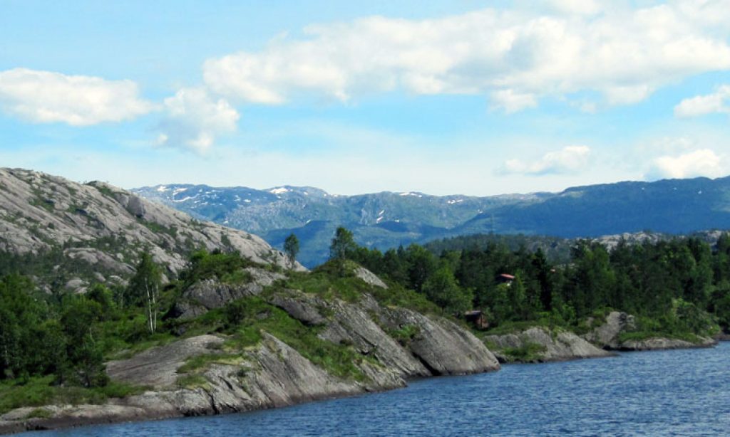 Der Älteste Baum Der Welt Schweden